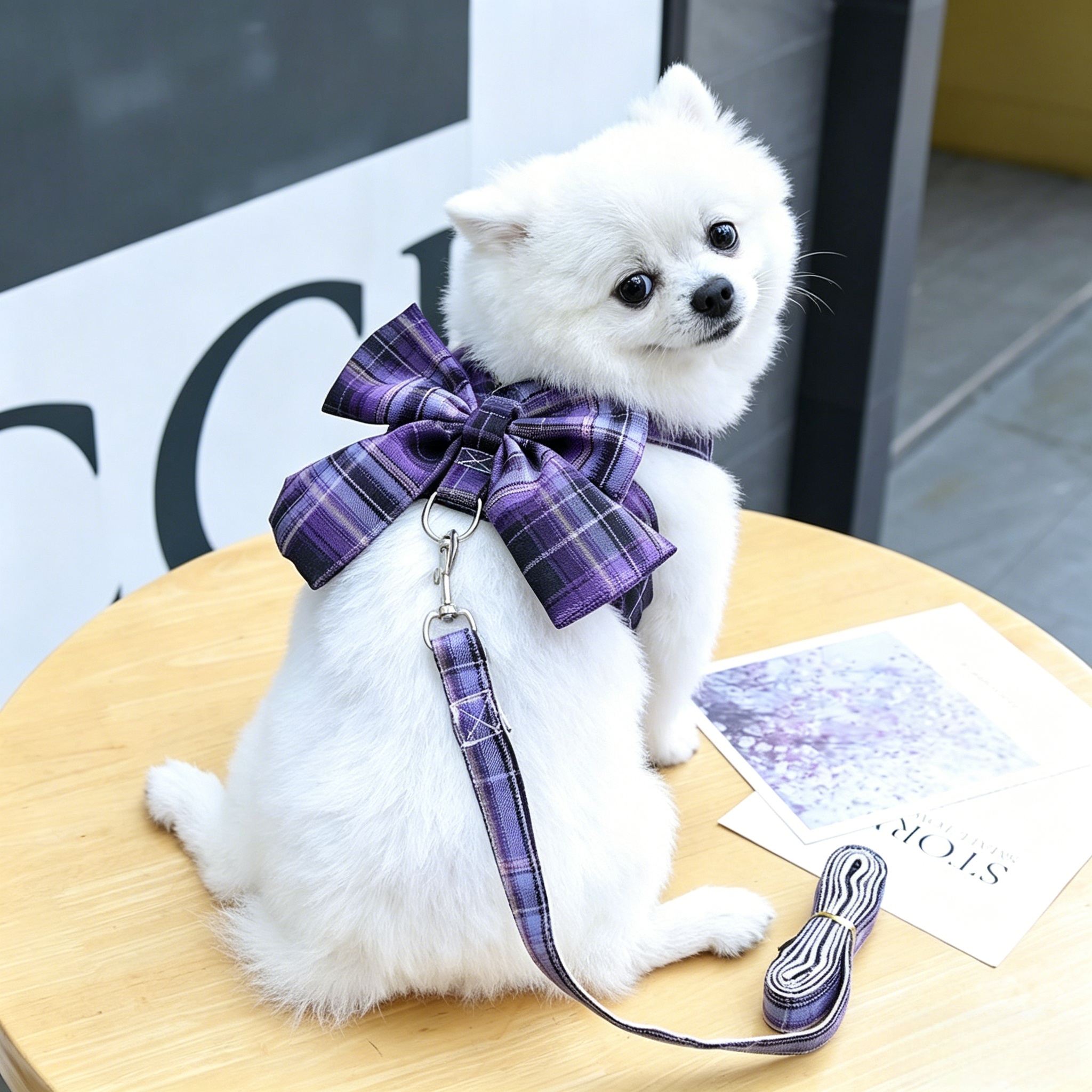 Harness-Style Dress with Matching Leash