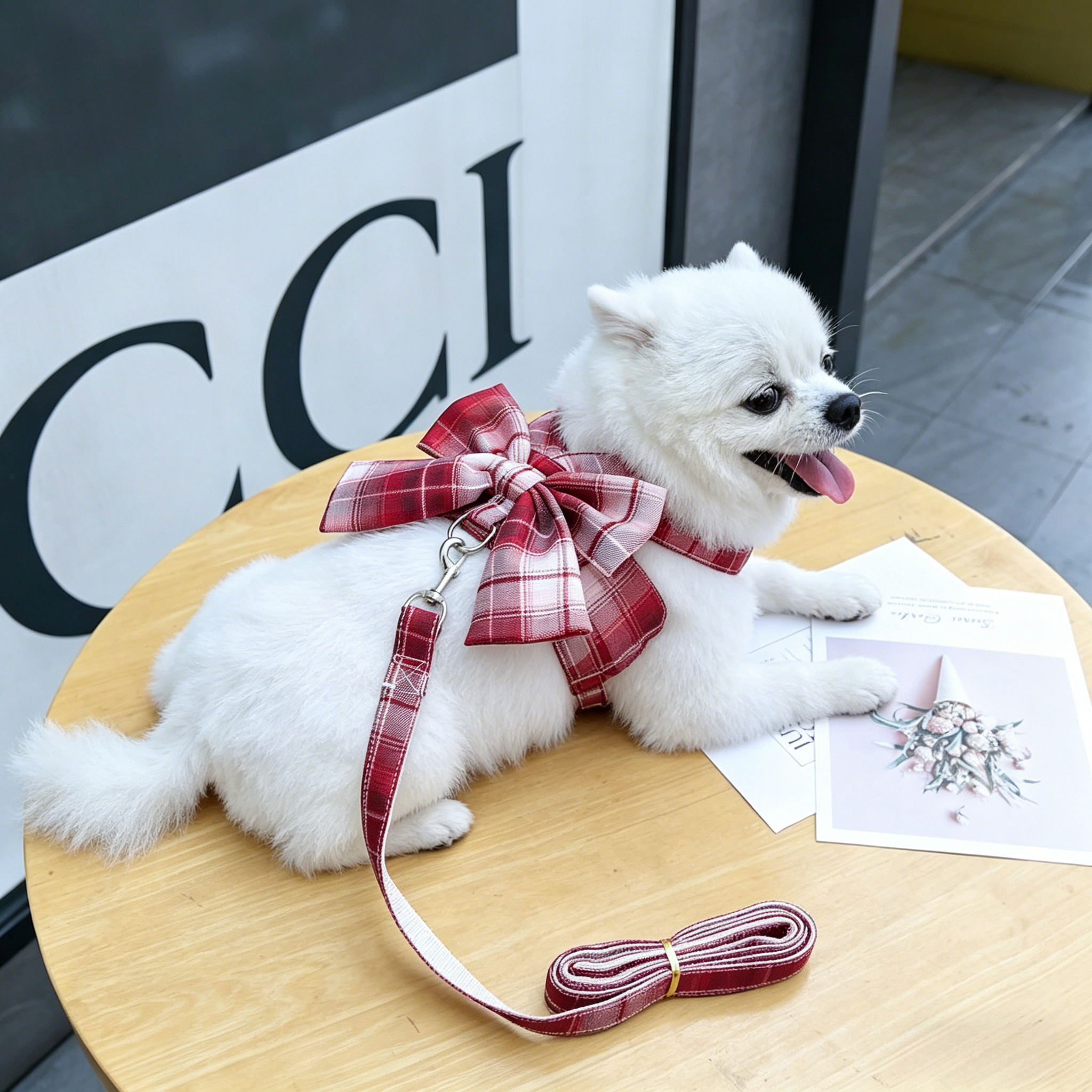 Harness-Style Dress with Matching Leash