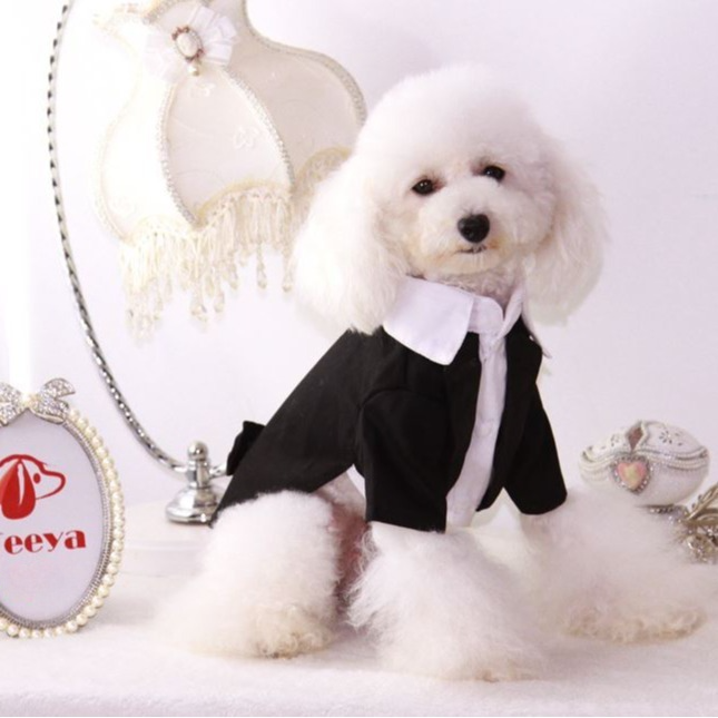 Pet Tuxedo Suit