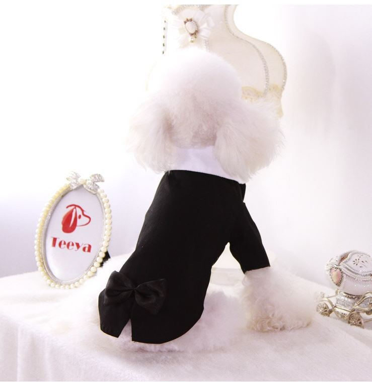 Pet Tuxedo Suit