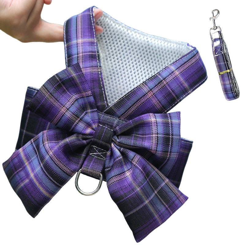 Harness-Style Dress with Matching Leash