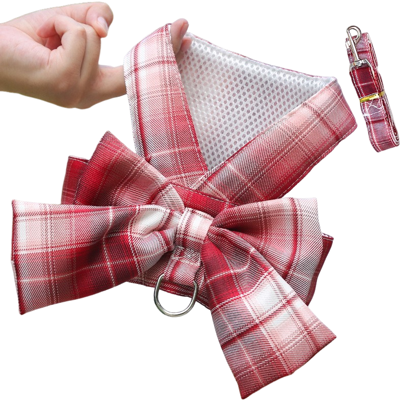 Harness-Style Dress with Matching Leash