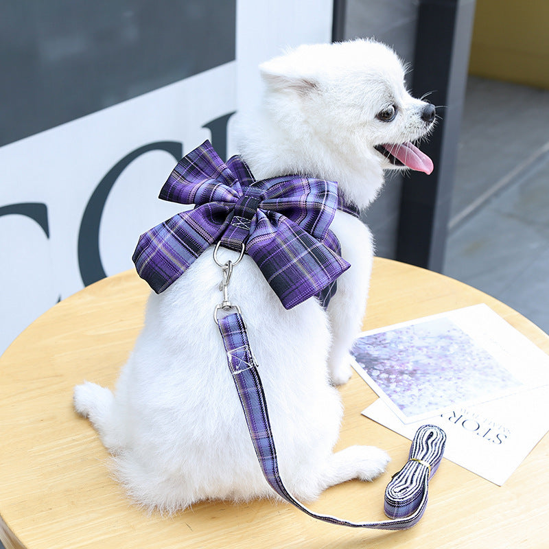 Harness-Style Dress with Matching Leash