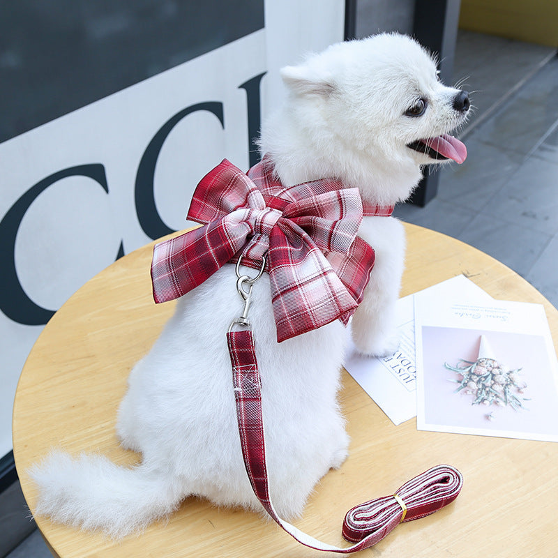 Harness-Style Dress with Matching Leash